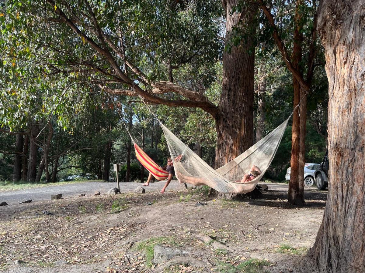 Base Camp Tasmania New Norfolk Exterior foto