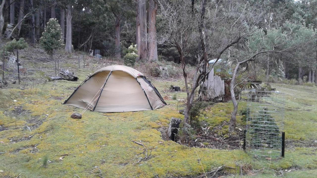 Base Camp Tasmania New Norfolk Exterior foto